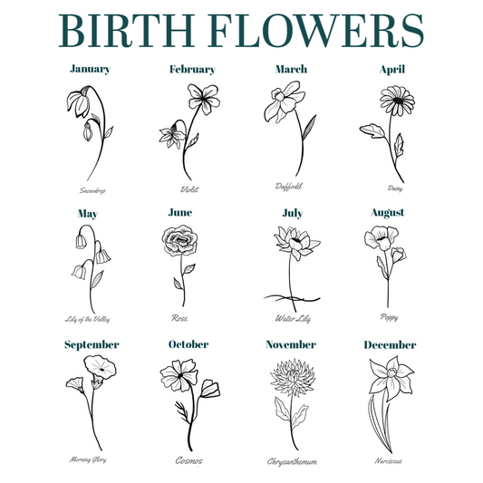 birth month flowers - flower for each birth month