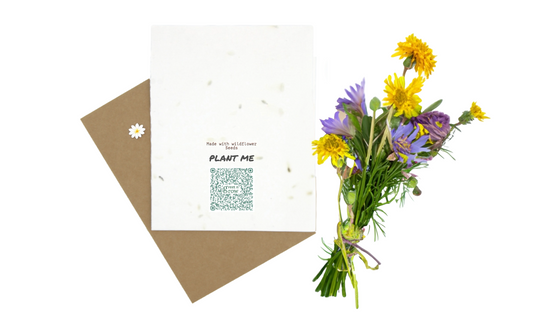 plantable greeting cards with wildflowers