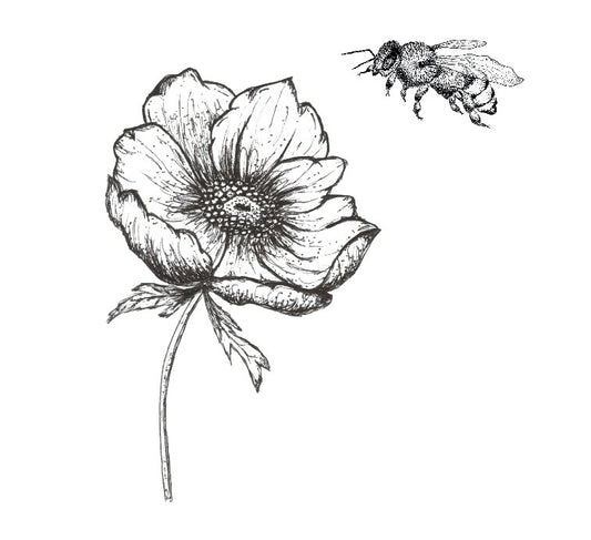 How Do Bees Help the Environment and How Can You Help Them?