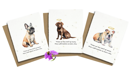dog sympathy gifts and cards