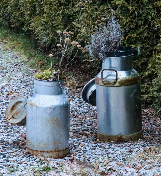 wildflowers in rustic metal containers