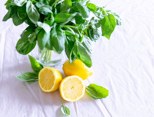 basil in a cup of water