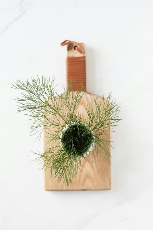 When to Plant Dill for a Successful Harvest