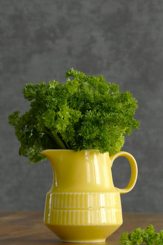 Step-by-Step Guide to Growing Parsley from Seed: Unlock Your Inner Gardener Today!