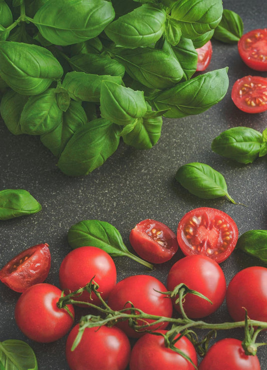 Ultimate Guide: How to Plant Basil from Seed for a Lush Homegrown Herb Garden