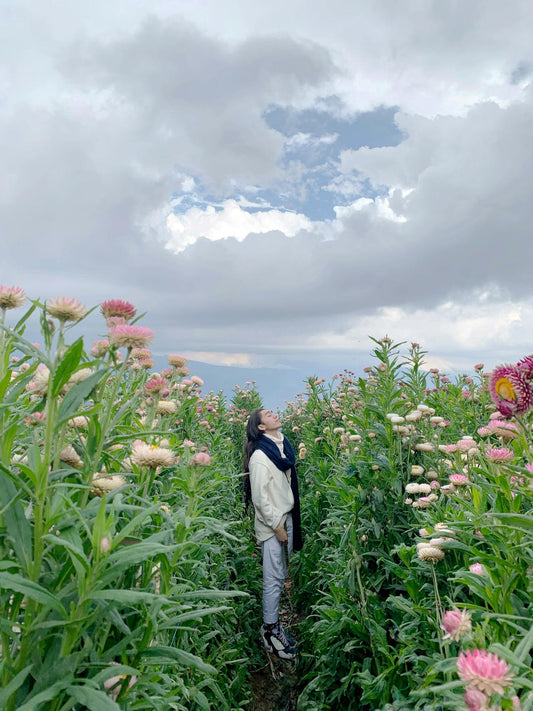 How to Grow a Wildflower Garden and Boost Your Backyard Biodiversity