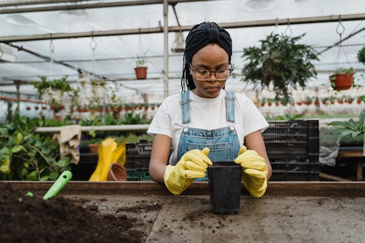 Indoor Gardening Guide: What Seeds to Start in January for a Bountiful Harvest