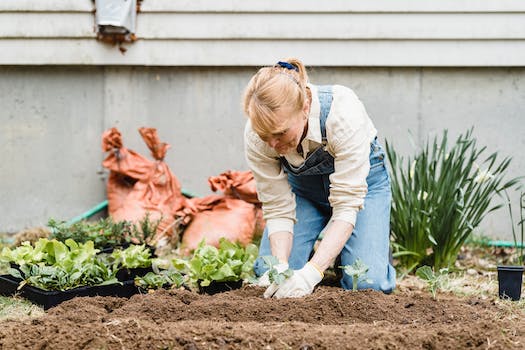 Discover What Seeds to Start in May for a Vibrant and Bountiful Summer Garden!
