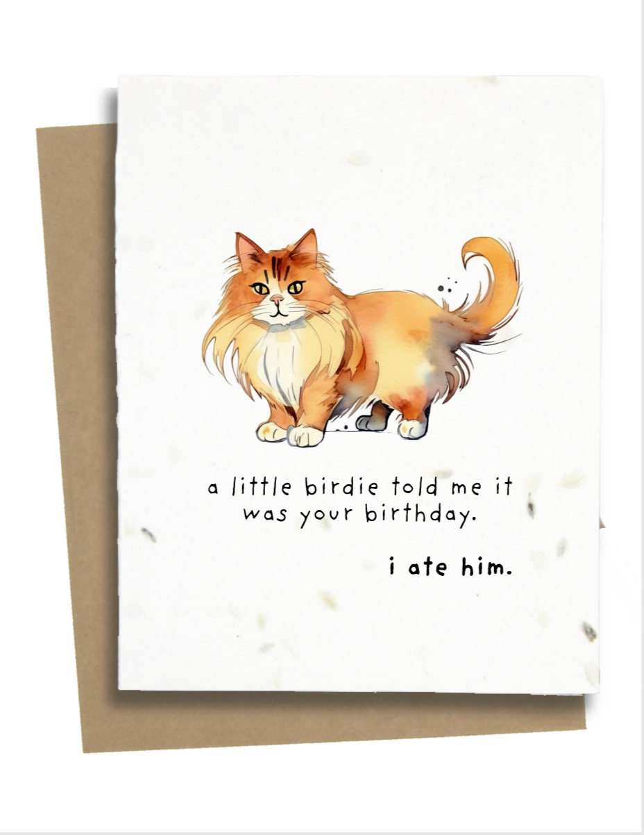 a little birdy told me cat birthday card