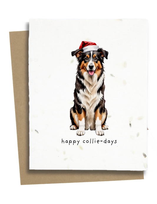 border collie dog christmas card