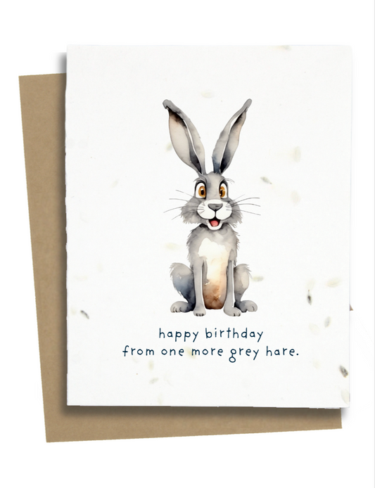 happy birthday hare card