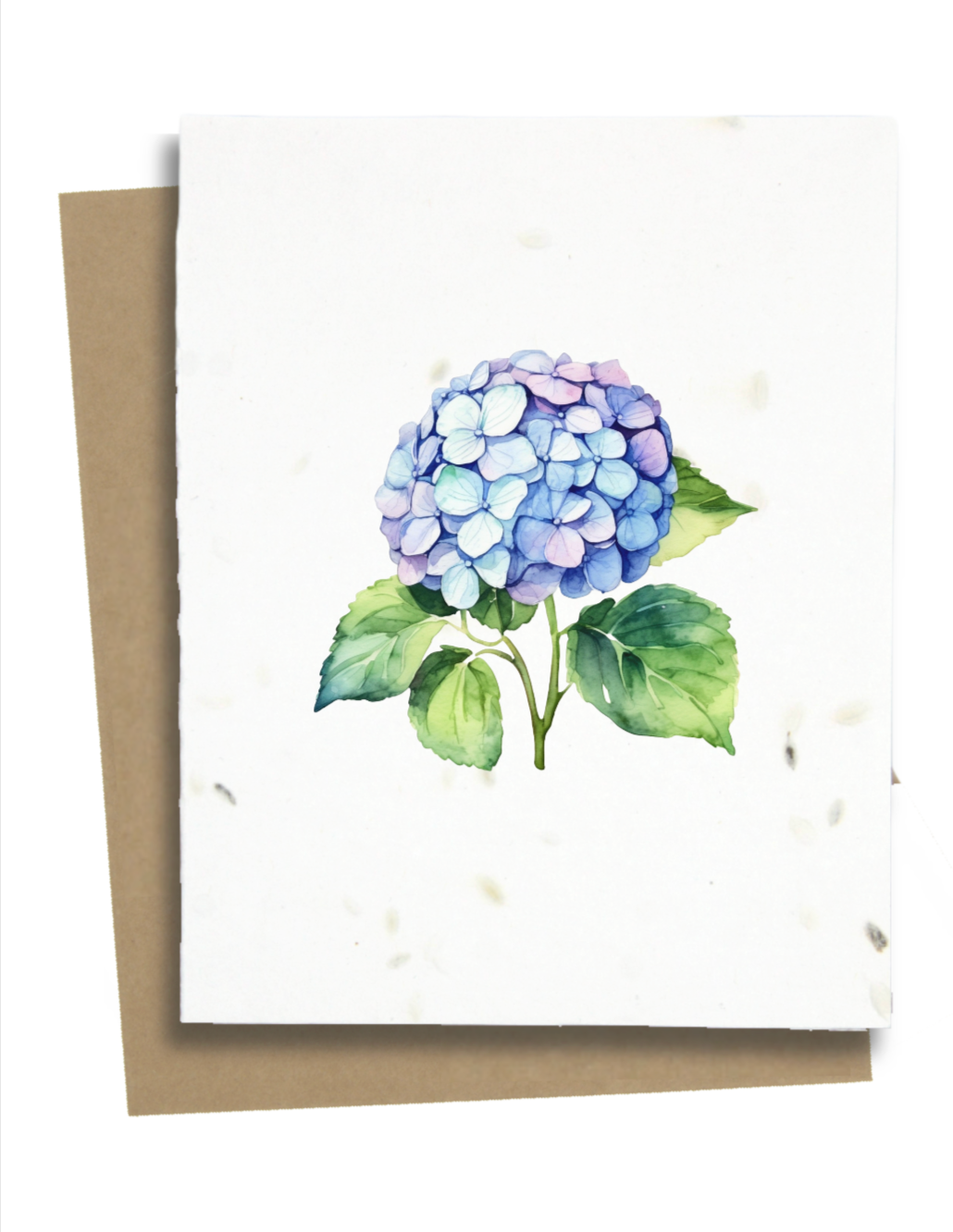 hydrangea flower greeting card