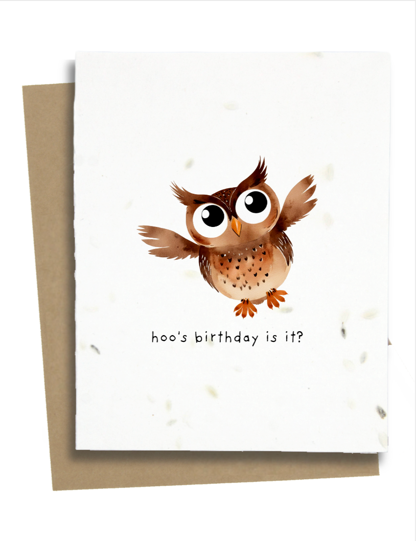 little owl birthday card