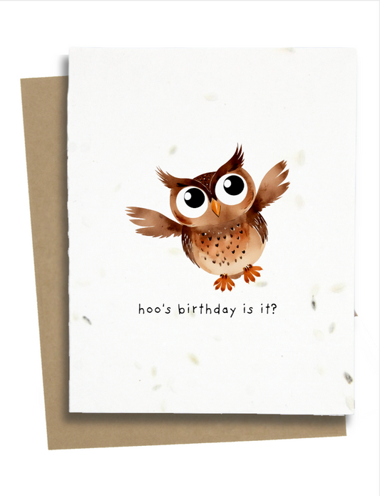 little owl birthday card