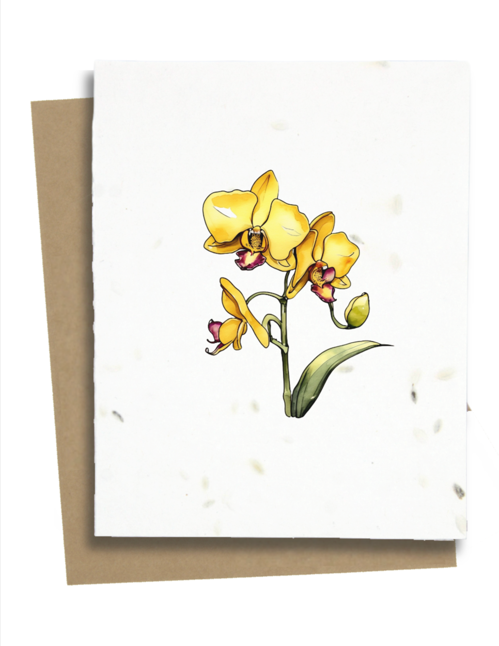 orchid flower greeting card