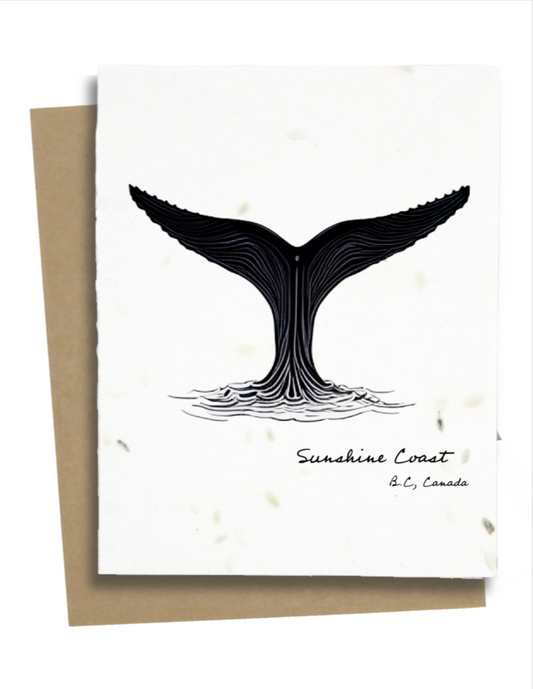 Humpback Tail Card