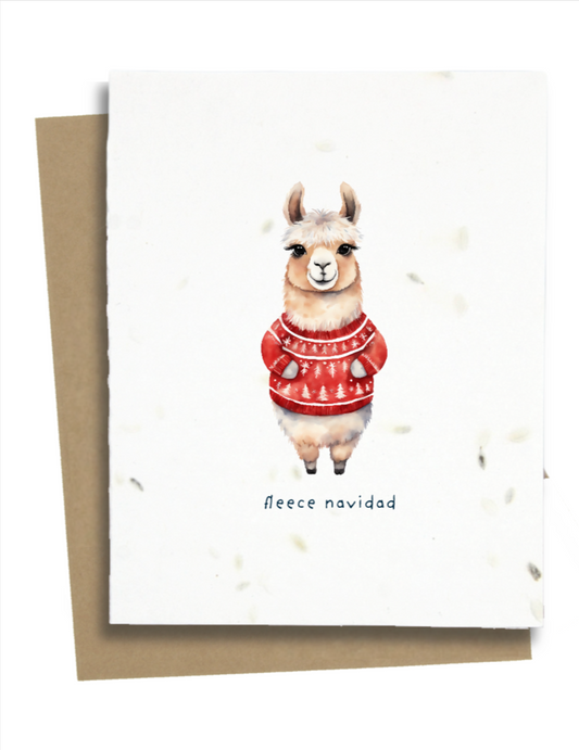 funny holiday wishes