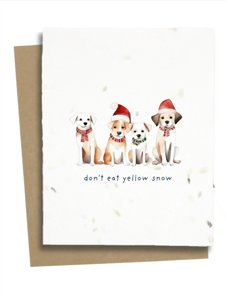 holiday greetings from dogs