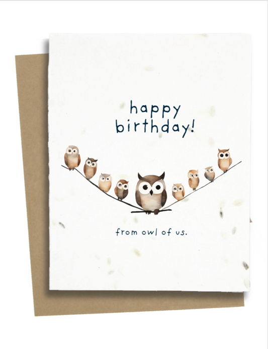 punny owl birthday card