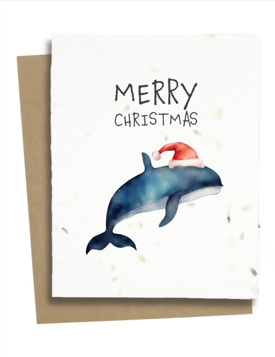 whale christmas cards