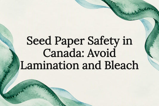 Decorative seed paper safety title card
