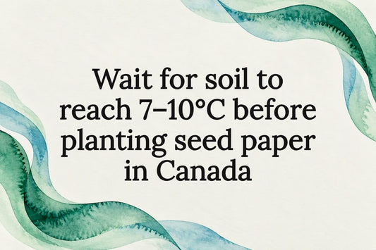 Decorative seed paper planting title card