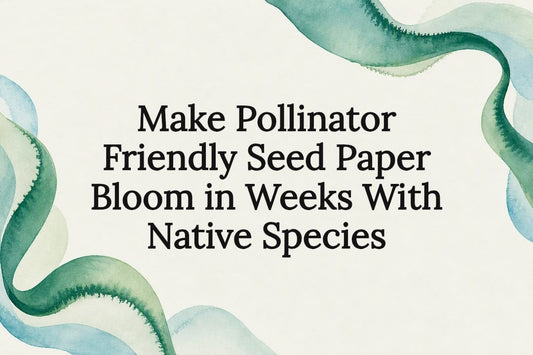 Decorative native seed paper title frame