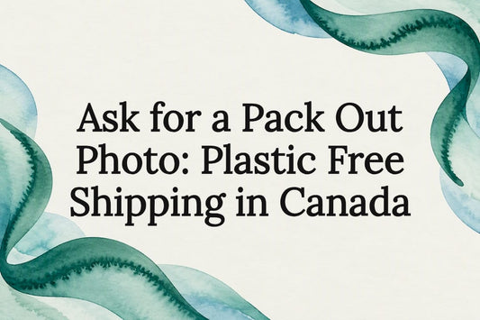 Decorative plastic-free shipping title card