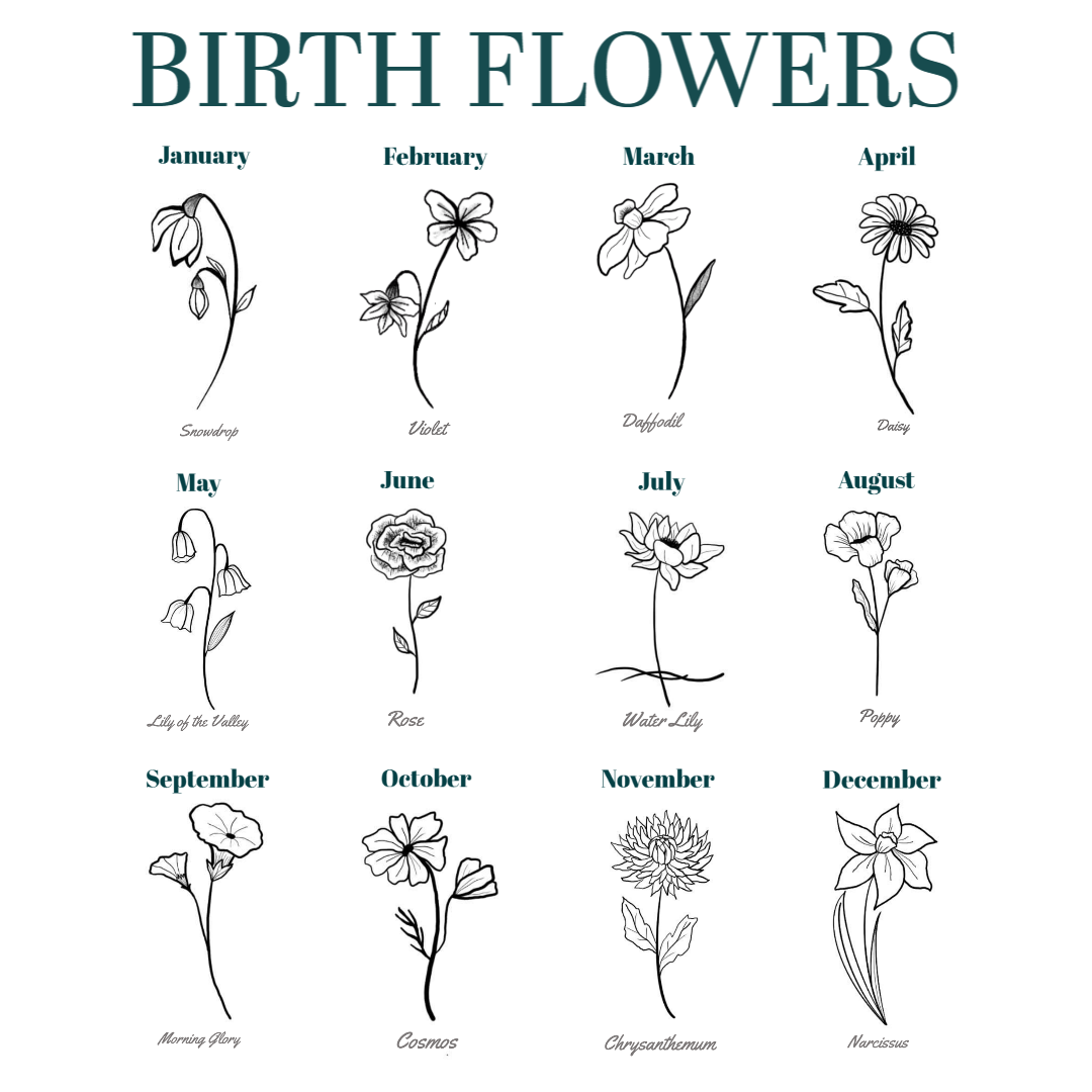 Birth Month Flowers and Their Meaning - Greet n' Grow – greetngrow