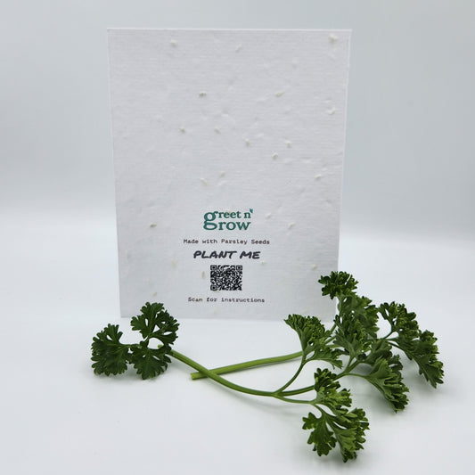 How to Grow Parsley Seed Card