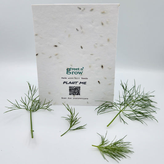 How to Plant Dill Seed Cards