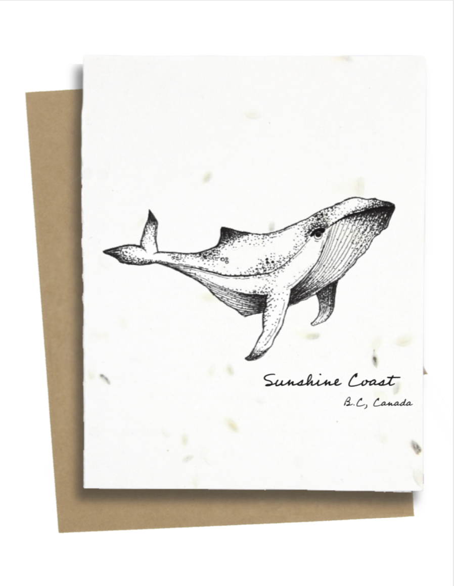 Humpback Whale Card