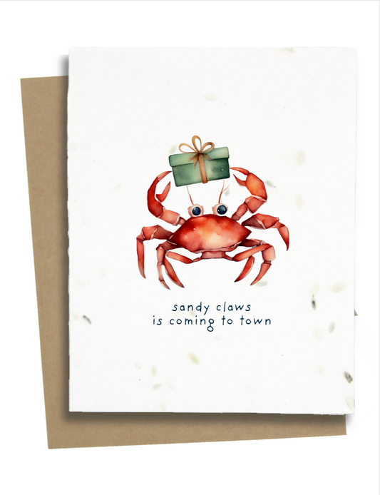 Beach Theme Christmas Cards