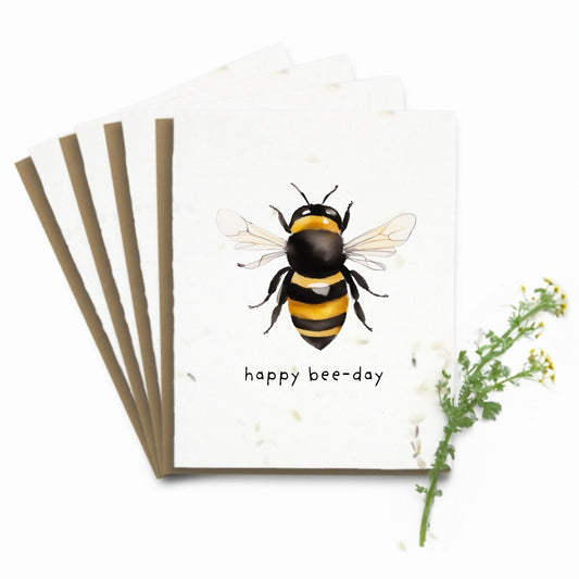 10 Pack - Mixed Assortment