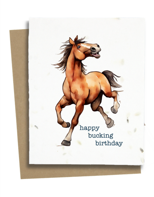 bucking horse birthday card