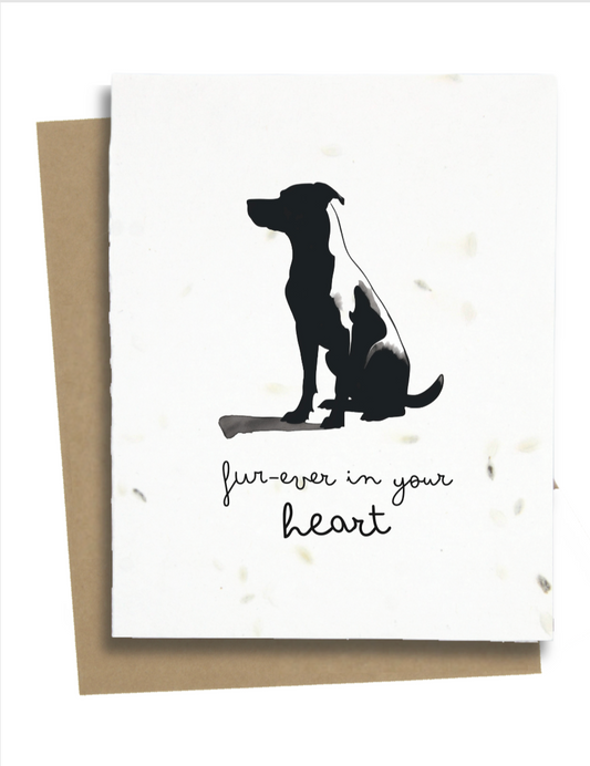 card for the loss of a dog