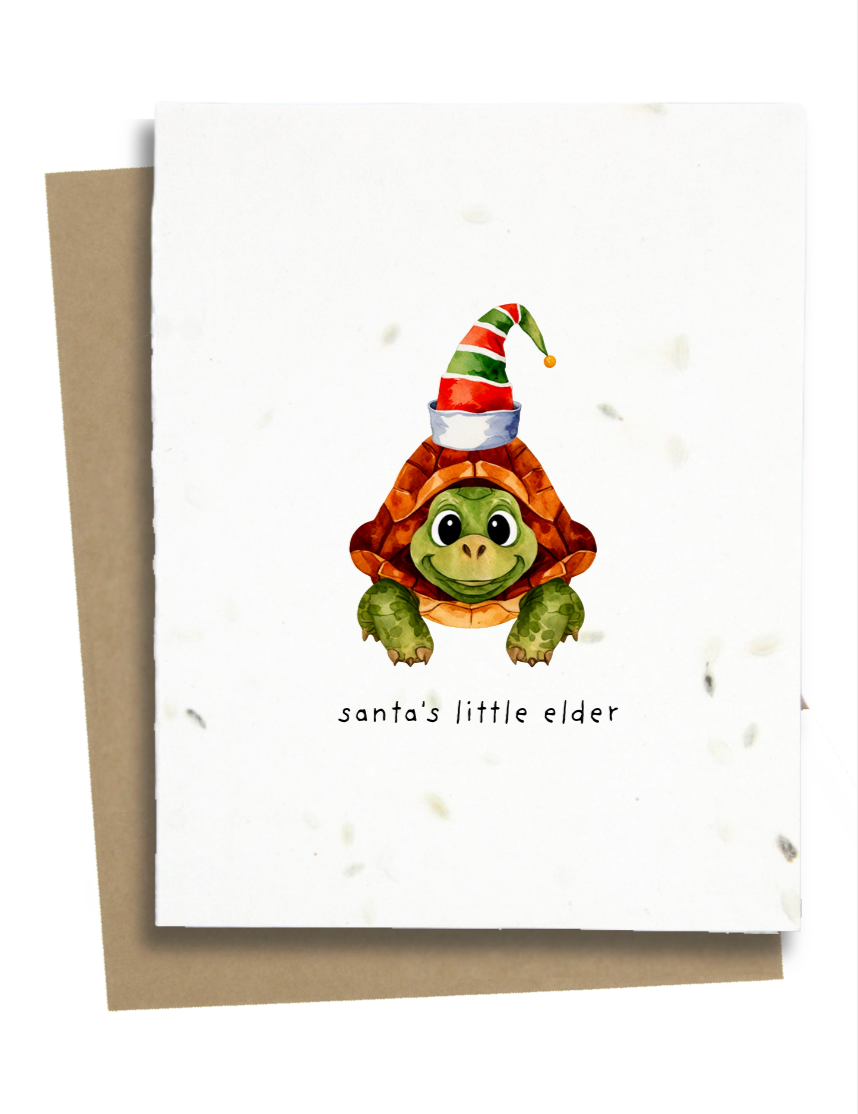 christmas turtle card