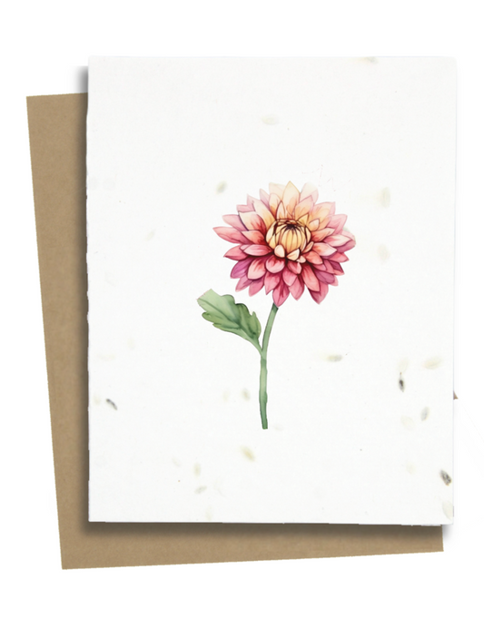 dahlia flower greeting card