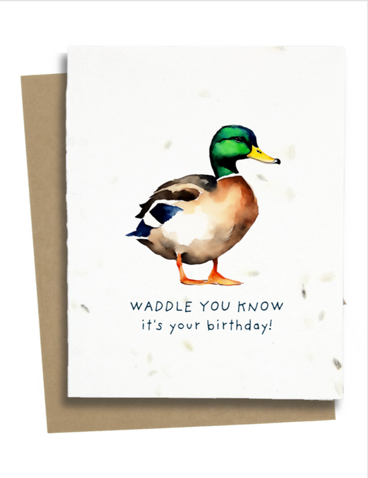 Duck Birthday Card