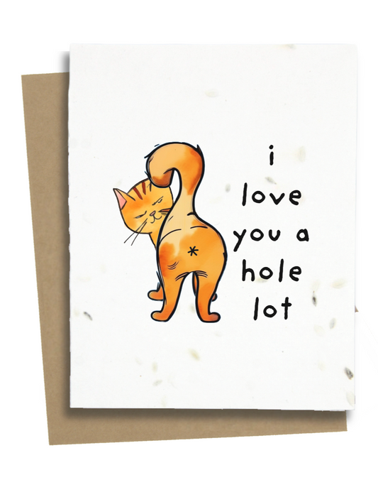 funny cat butt hole card