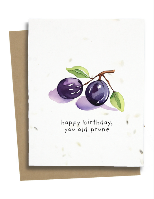 happy birthday you old prune card