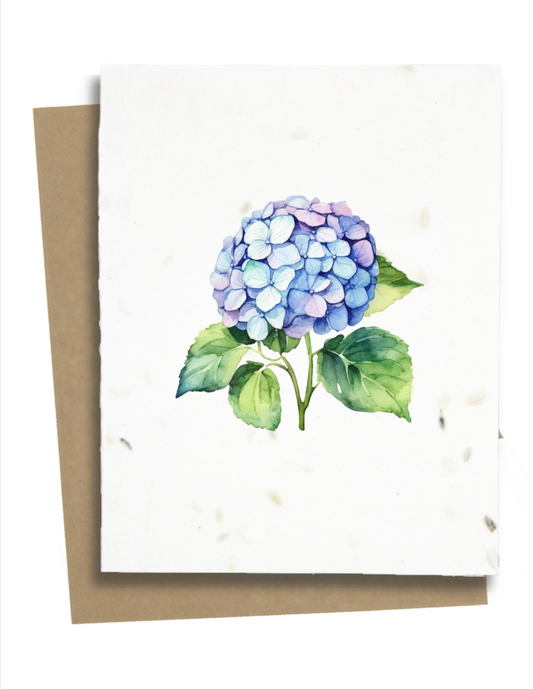 hydrangea flower greeting card