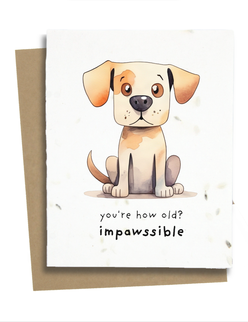 impawssible pun dog birthday card