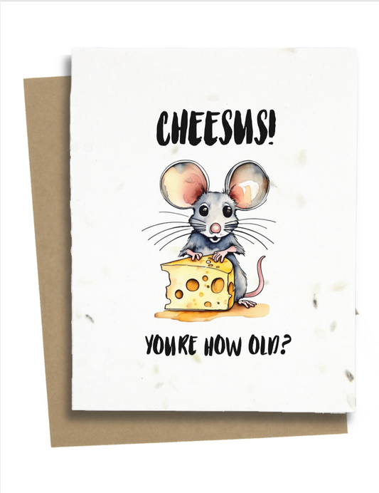 mouse birthday card