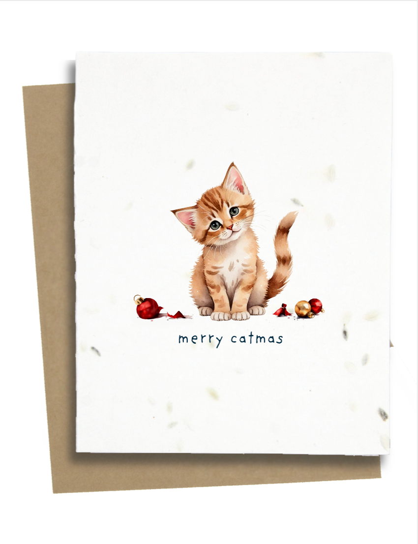 naughty Christmas cat card