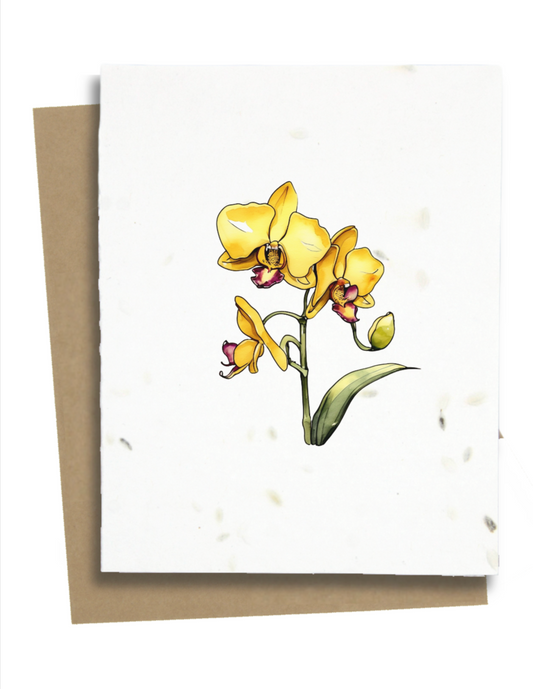 orchid flower greeting card