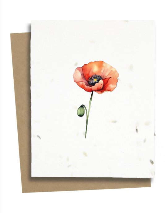 poppy flower greeting card