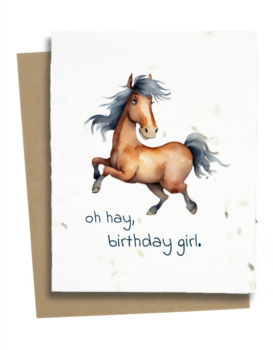 punny horse birthday card