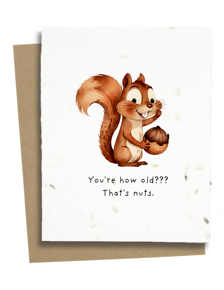 squirrel birthday card