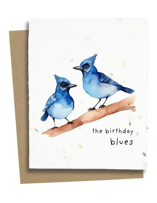 stellar jay birthday blues card